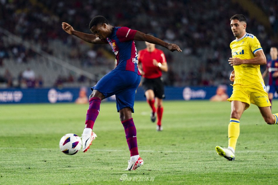 的职业化训 的职业化训